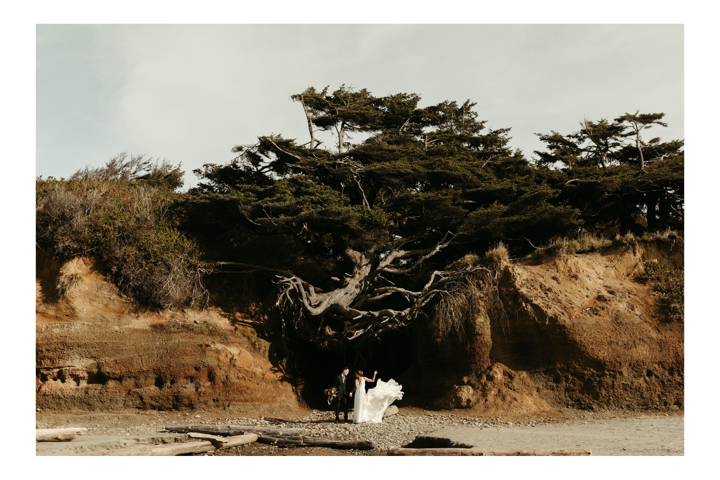 epic bride and groom wedding day in front of tree of life in washington