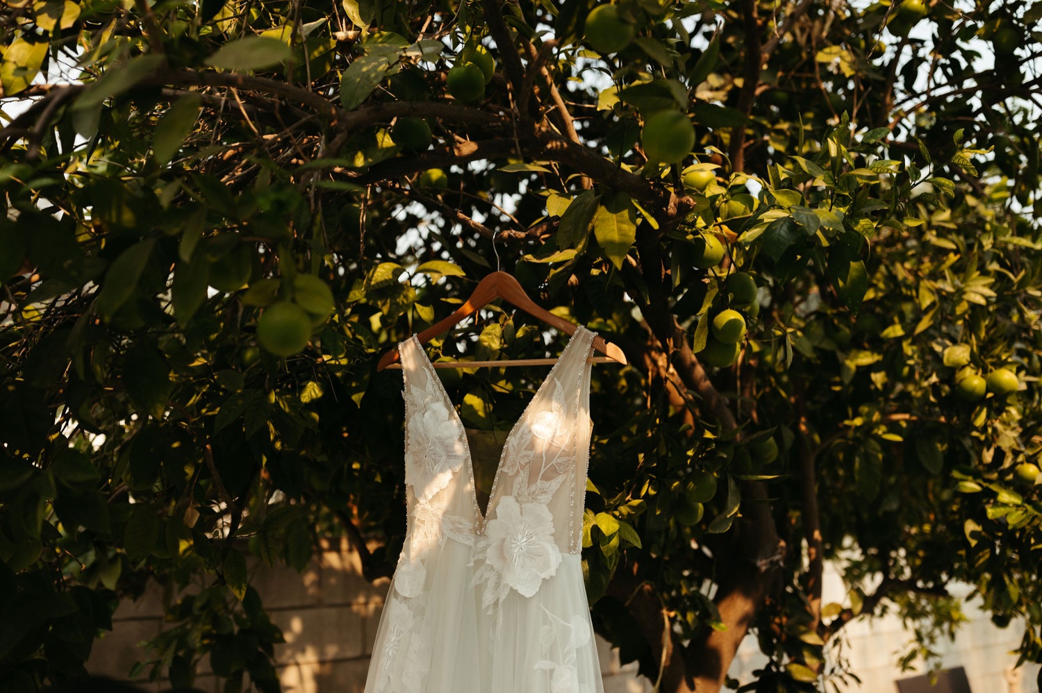 floravere wedding dress