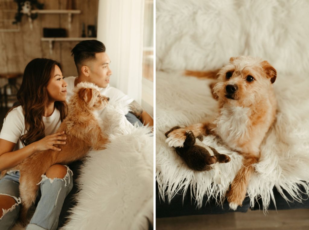 cuddly couples inhome session with dog